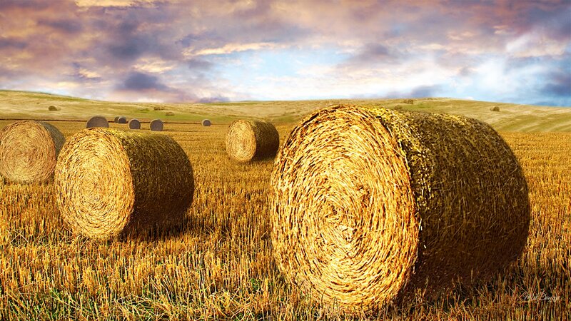 Hay Bales in Field — Yellow, Serene, Sunset