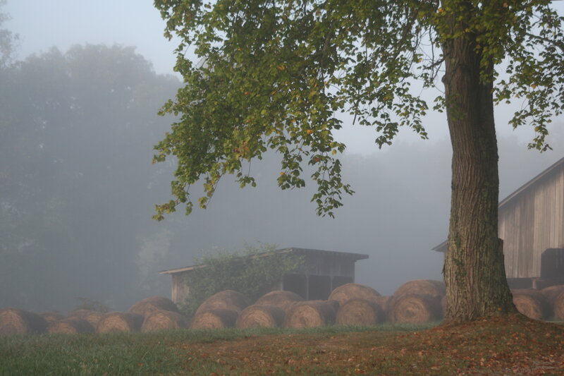 Hay Bales in Fog