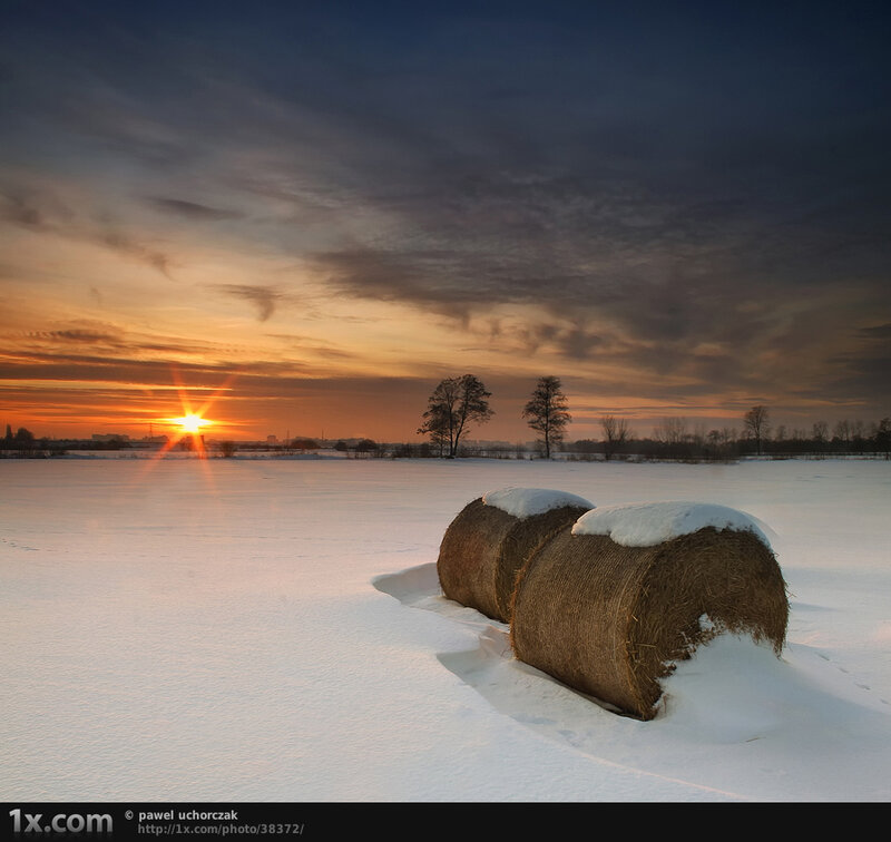 Hay Bales in Snow