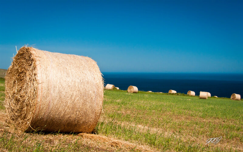 Hay Bales on a Hill