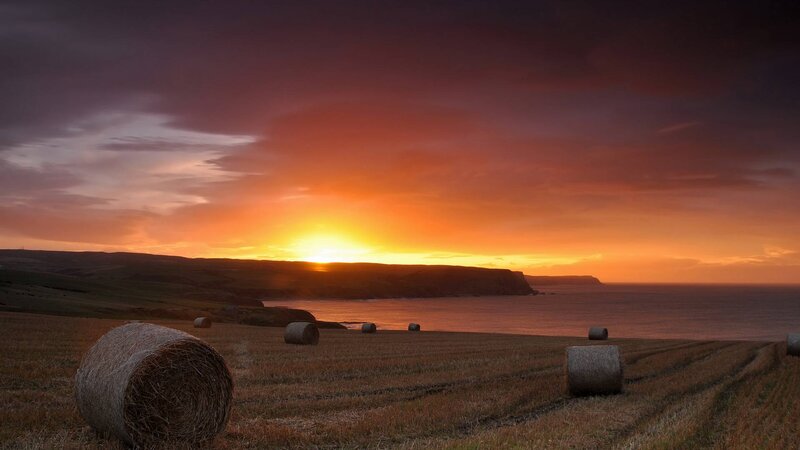 Hay Bales on Coastal Field — Orange