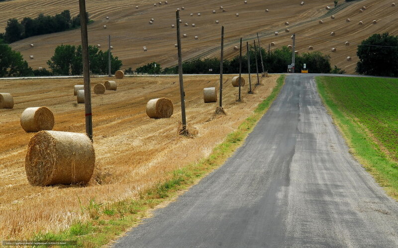 Hay Bales on Field — Brown