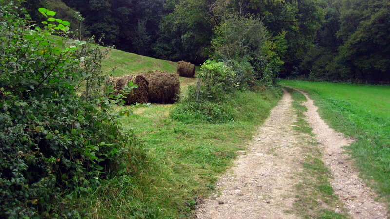 Hay Bales on Field — Green