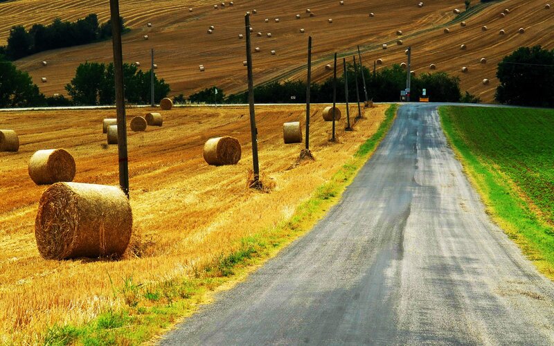 Hay Bales on Field