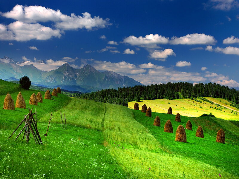 Hay Bales on Green Hills