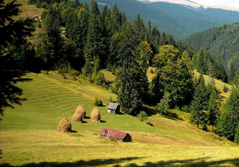 Hay Bales on Hillside