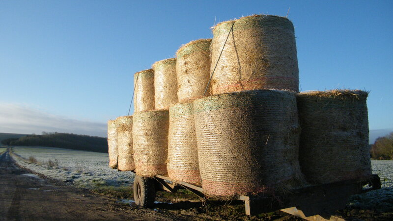 Hay Bales on Trailer
