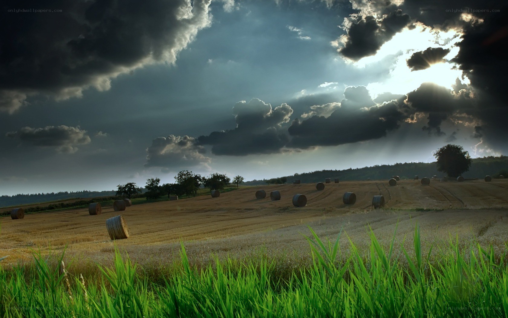 Hay bales under stormy sky