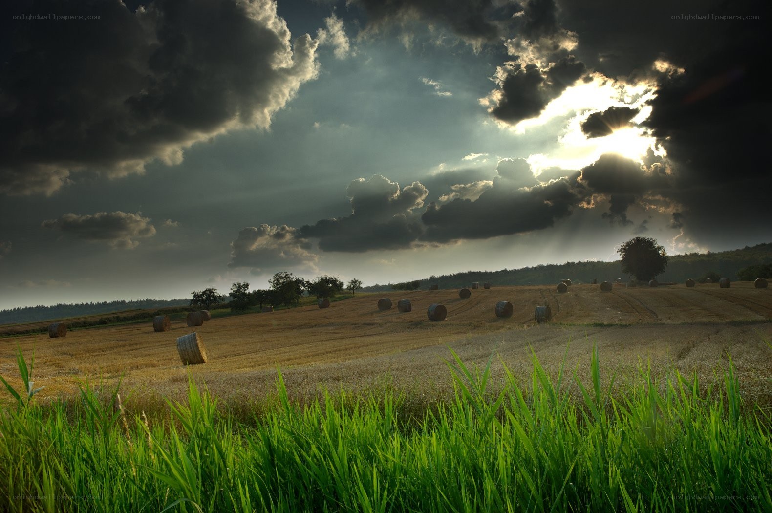 Hay bales under stormy sky
