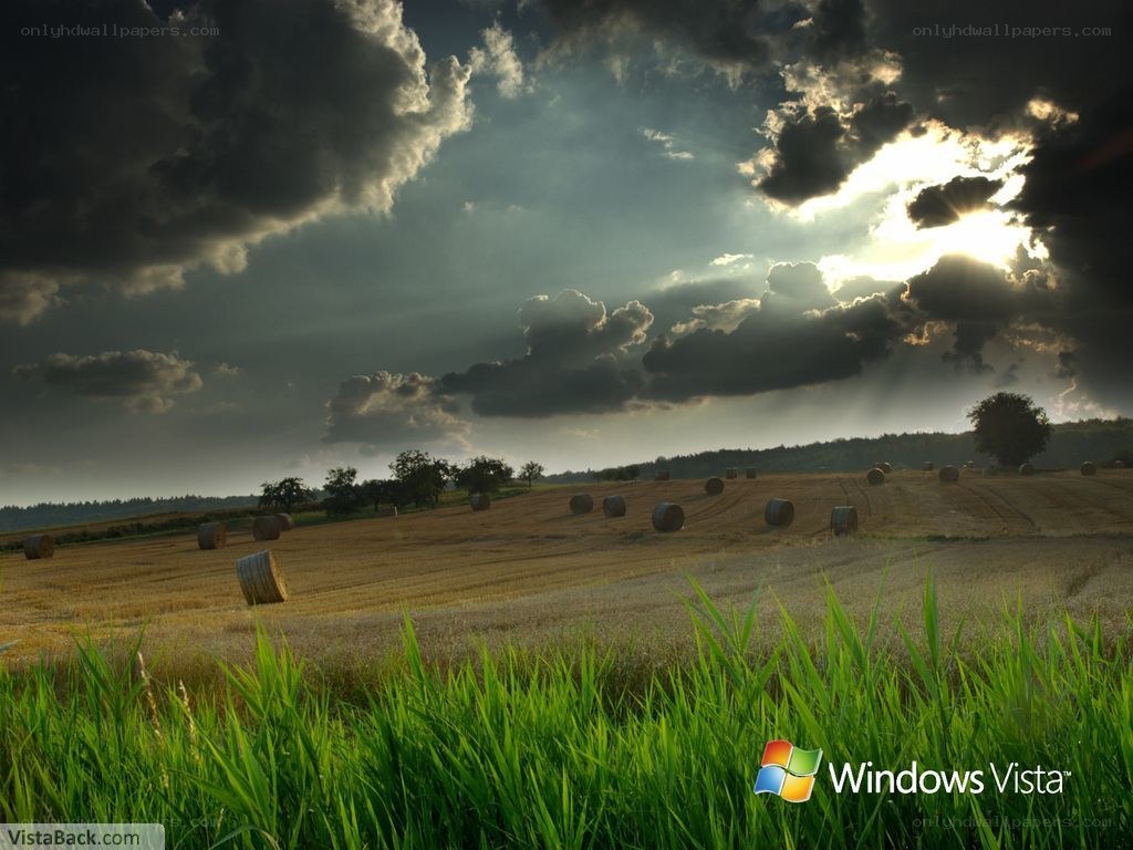 Hay bales under stormy sky