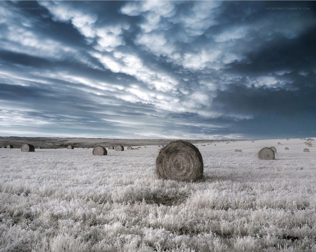 Hay bales under stormy sky