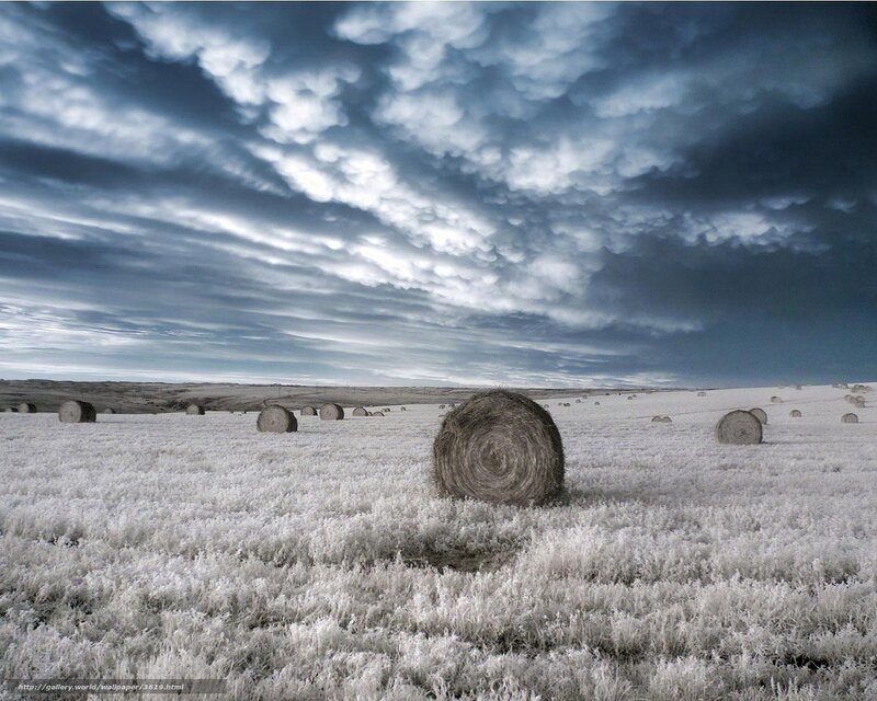 Hay bales under stormy sky