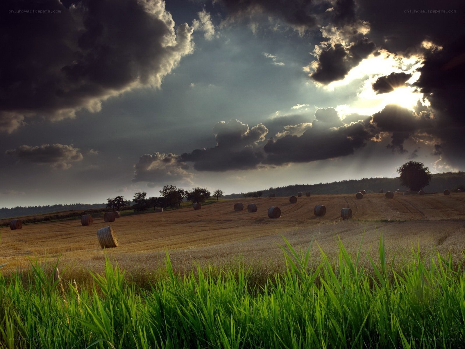 Hay bales under stormy sky