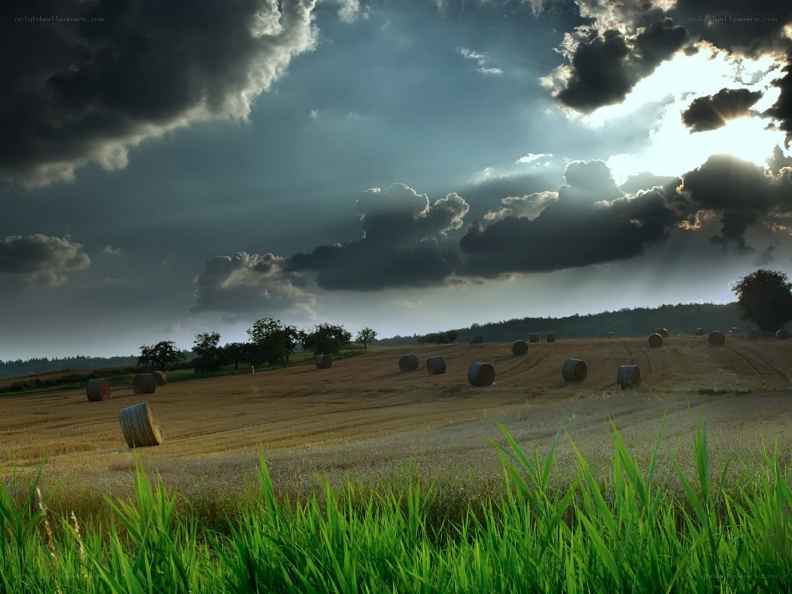 Hay bales under stormy sky