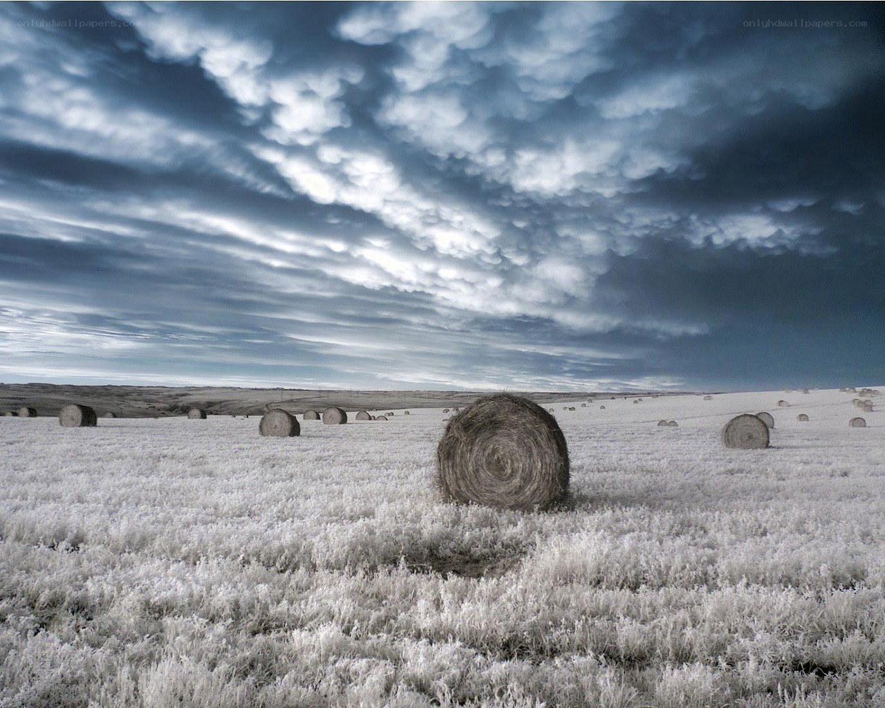Hay bales under stormy sky