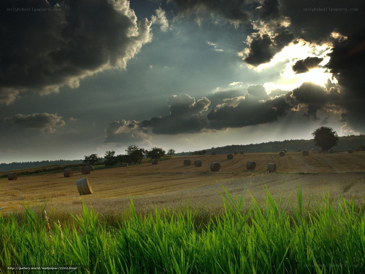 Hay bales under stormy sky