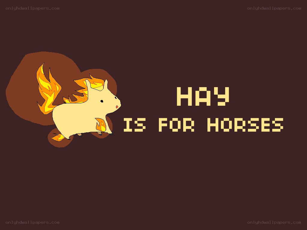 Hay is for horses