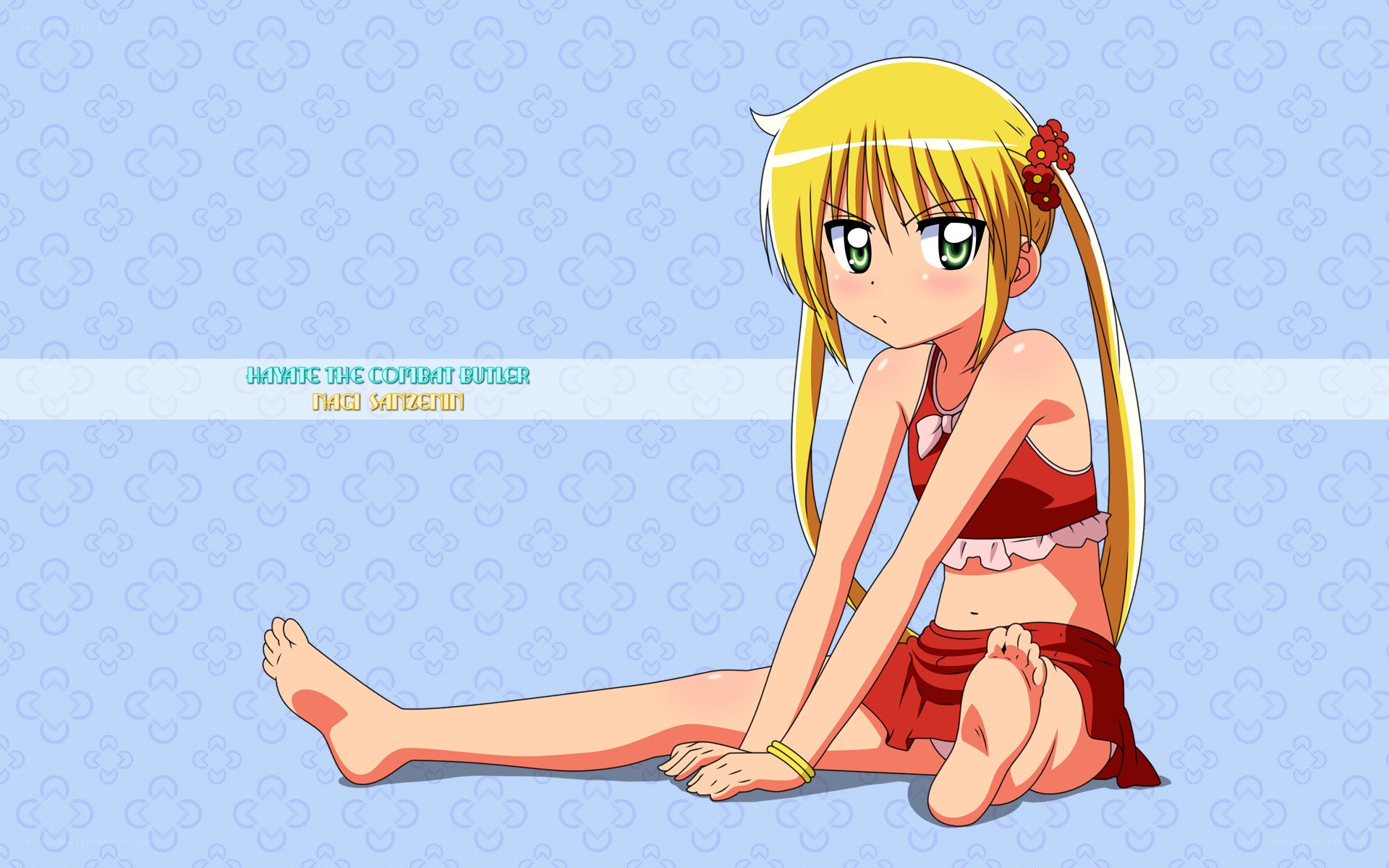 Hayate the Combat Butler character