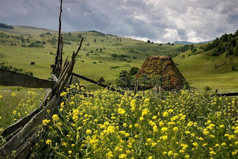 Haystack in Field — Green, Dramatic