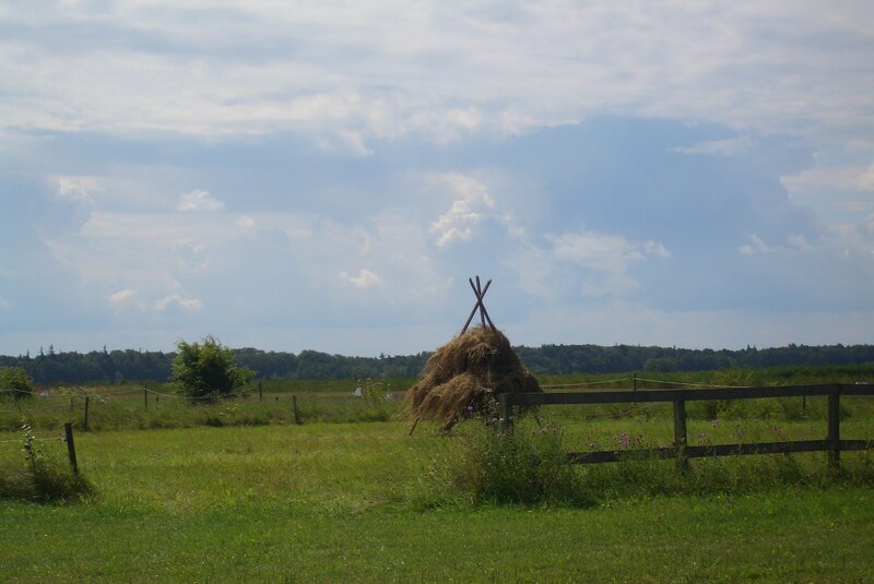 Haystack in Field — Green