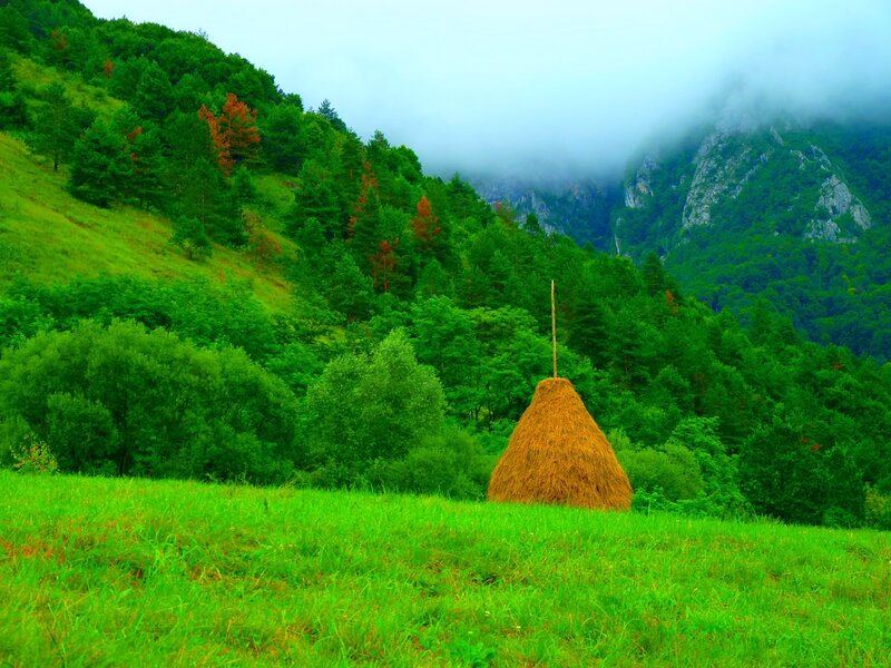Haystack in Green Field