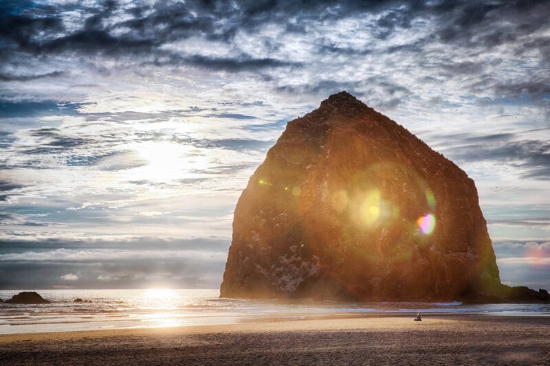 Haystack Rock at Sunset — Brown