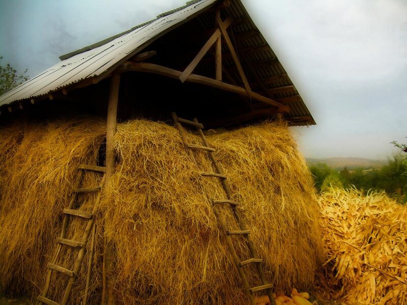 Haystack under Shed