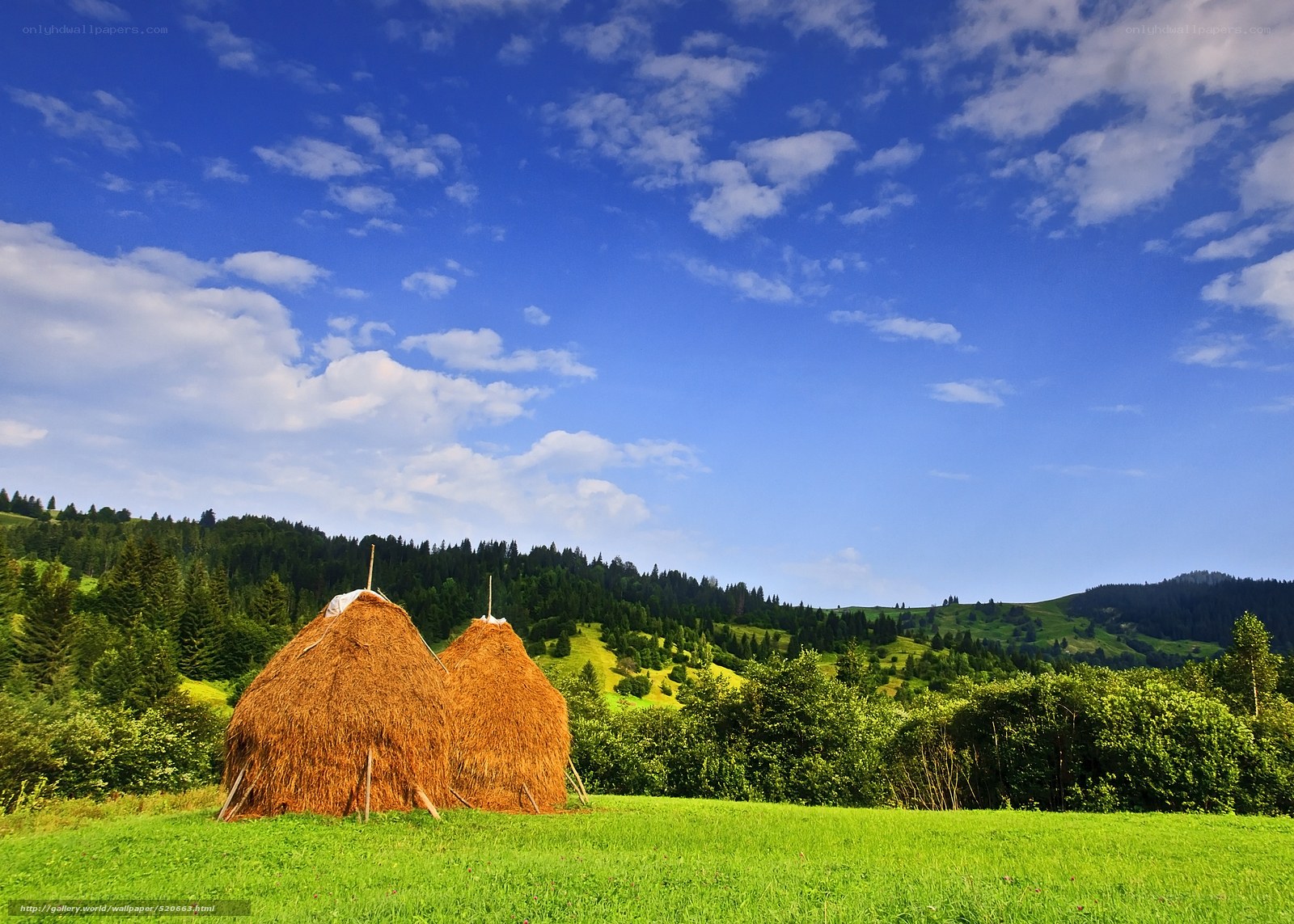 Haystacks in a green valley
