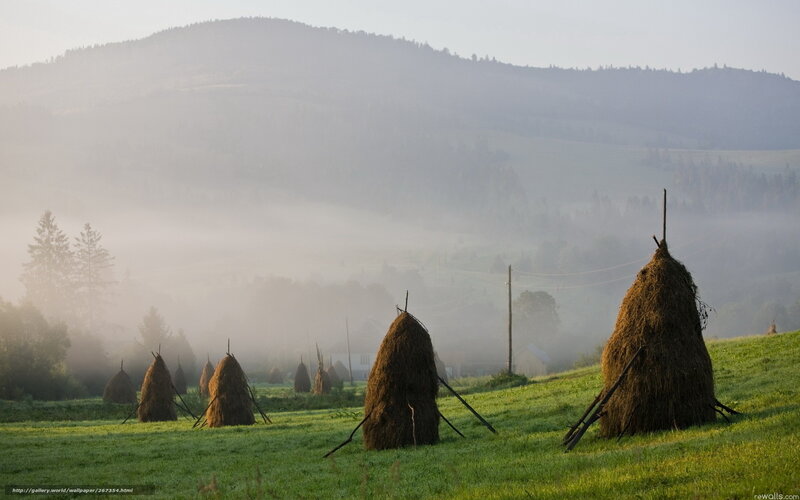 Haystacks in a misty valley
