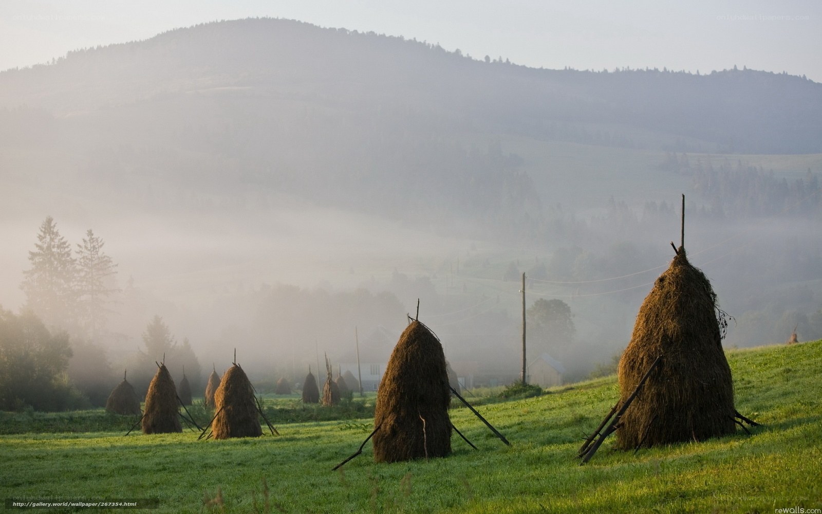 Haystacks in a misty valley