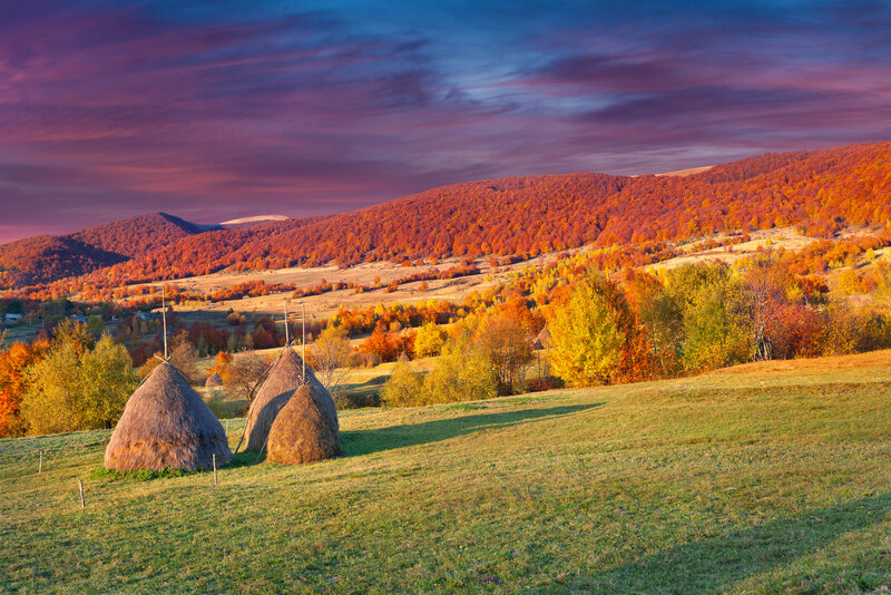 Haystacks in Autumn Field