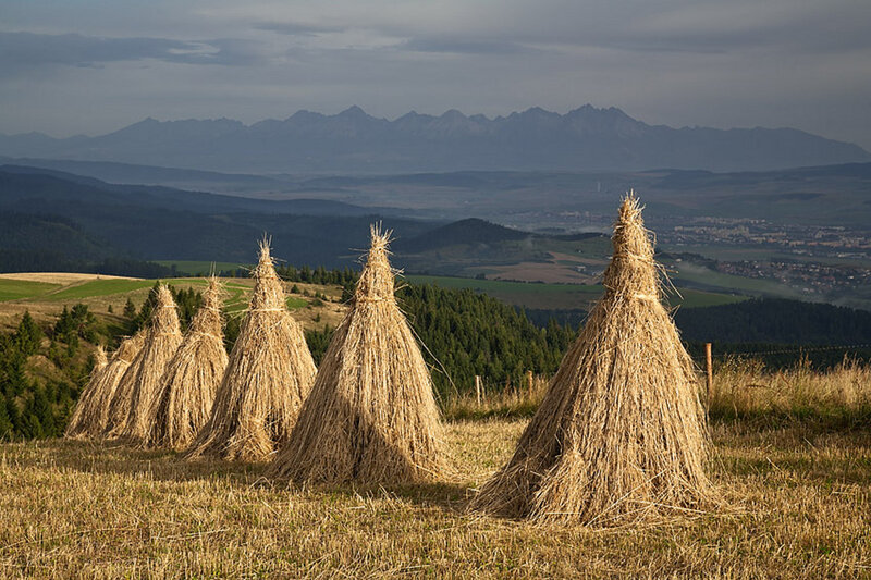 Haystacks in Field — Brown