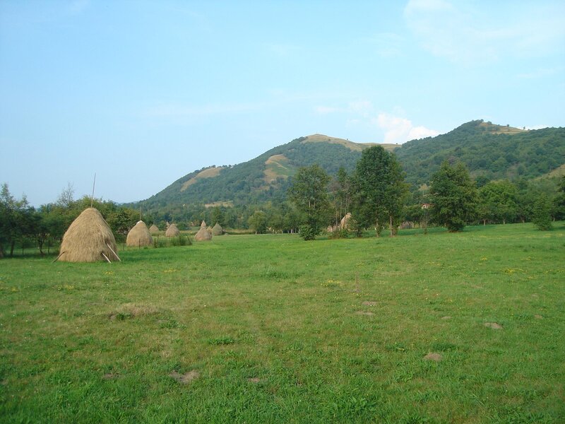 Haystacks in Field — Green