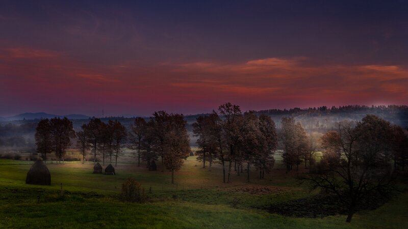 Haystacks in Field — Purple