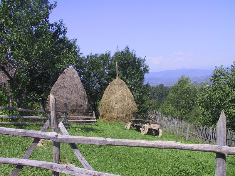 Haystacks in Field