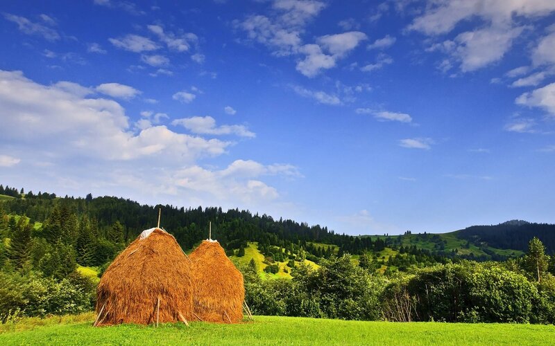 Haystacks in Green Field
