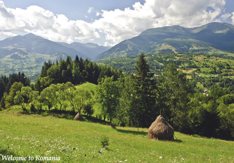 Haystacks in Mountain Valley — Green