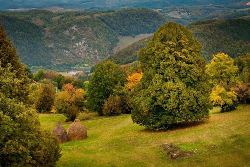 Haystacks in Valley