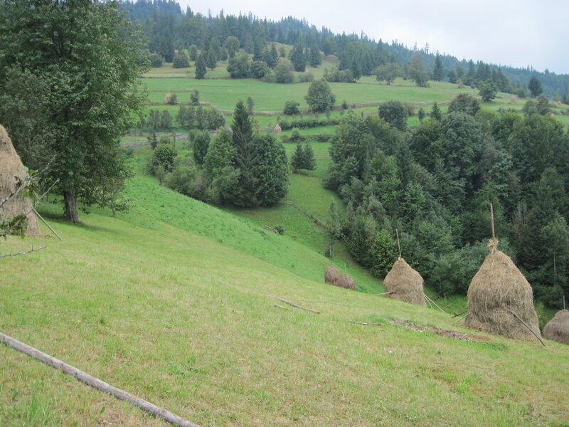 Haystacks on a Hillside