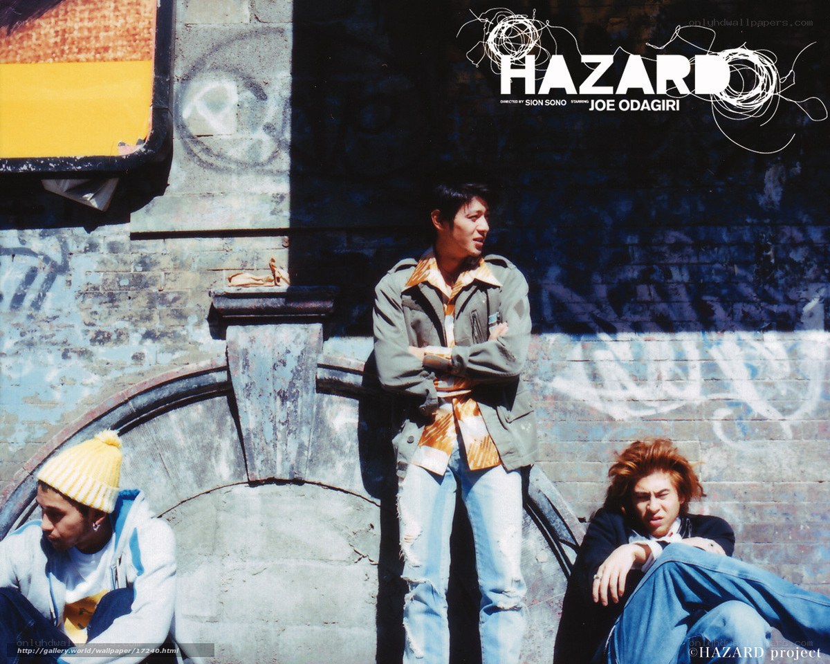 Hazards movie poster