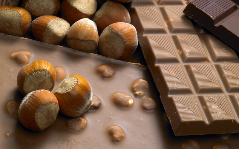 Hazelnuts and chocolate bar