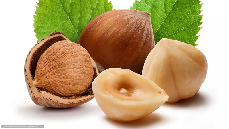 Hazelnuts and Leaves — Green