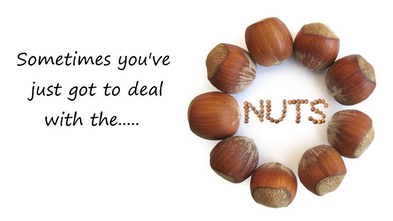 Hazelnuts Arranged in Circle