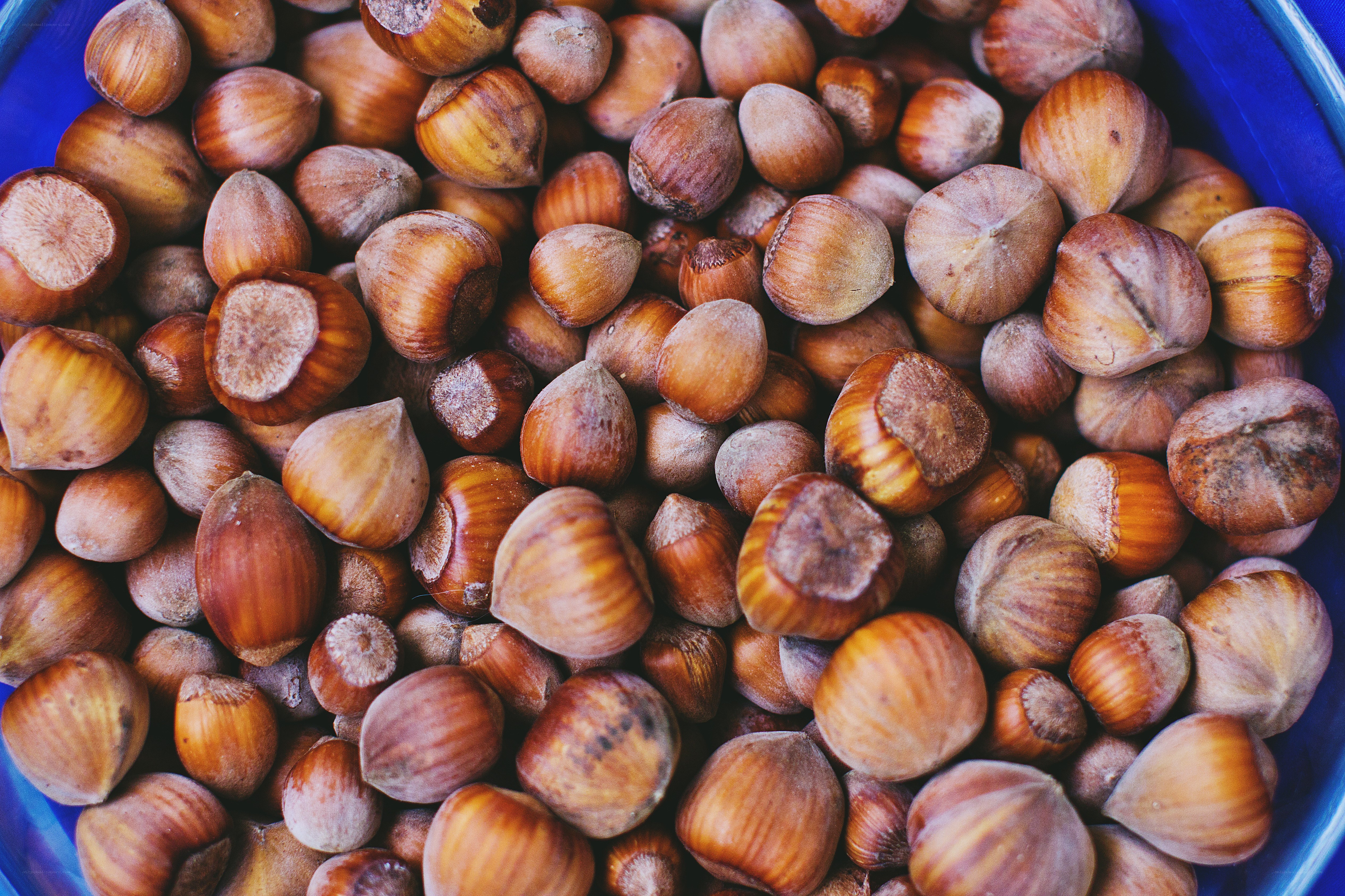 hazelnuts in a blue bowl