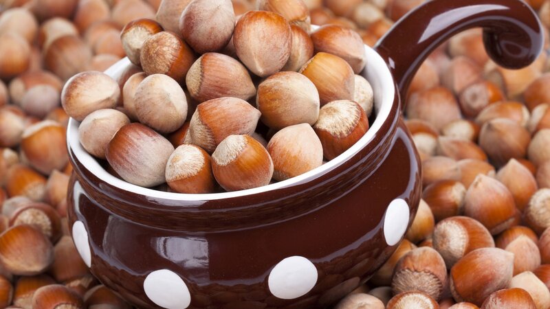 Hazelnuts in a Bowl — Brown, Calm