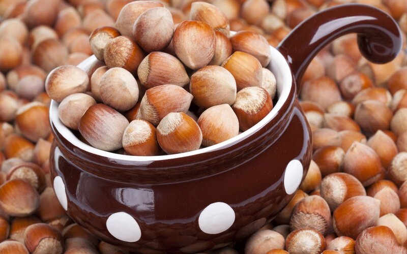 Hazelnuts in a Bowl — Brown
