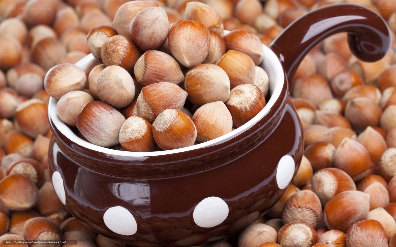 Hazelnuts in a polka-dot cup