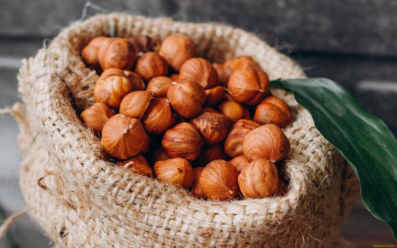 Hazelnuts in Burlap Sack