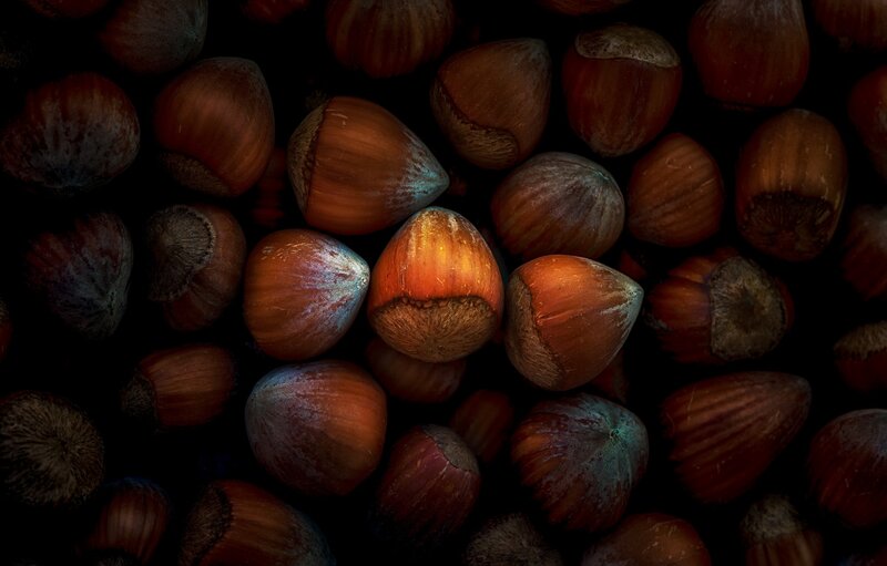 Hazelnuts in Dark Background