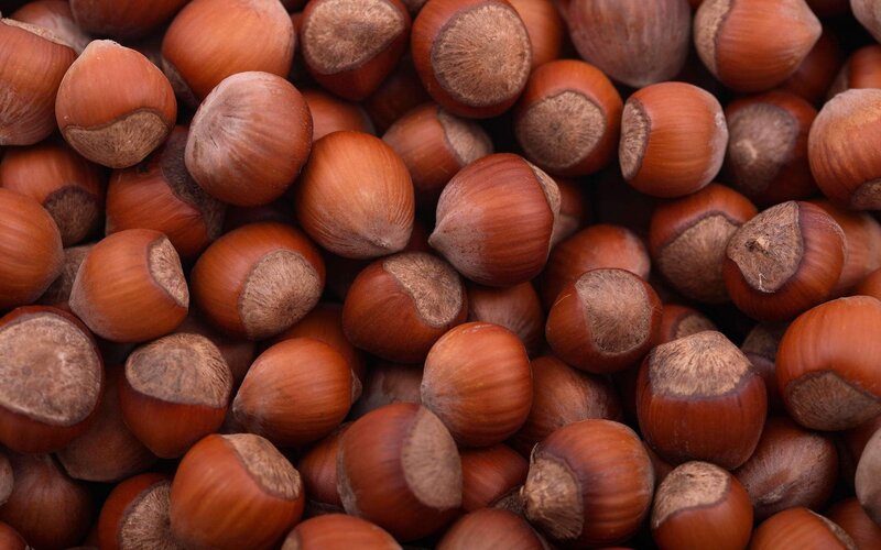 Hazelnuts in Shell — Brown, Neutral, Photograph, Shells, Tan
